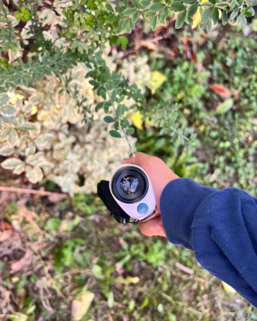 Review image