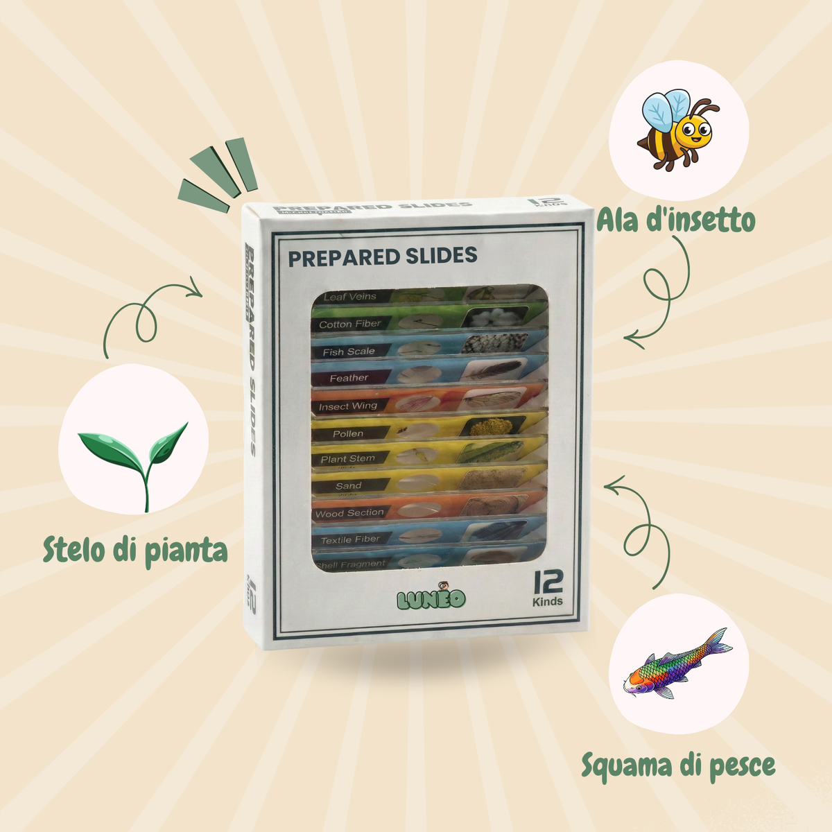 pocket-scope-slides (IT) 0