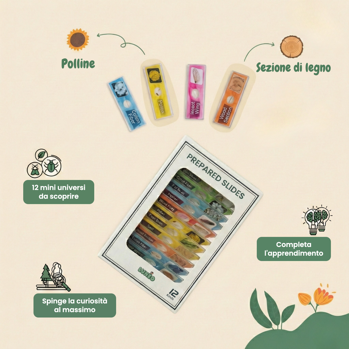 pocket-scope-slides (IT) 1