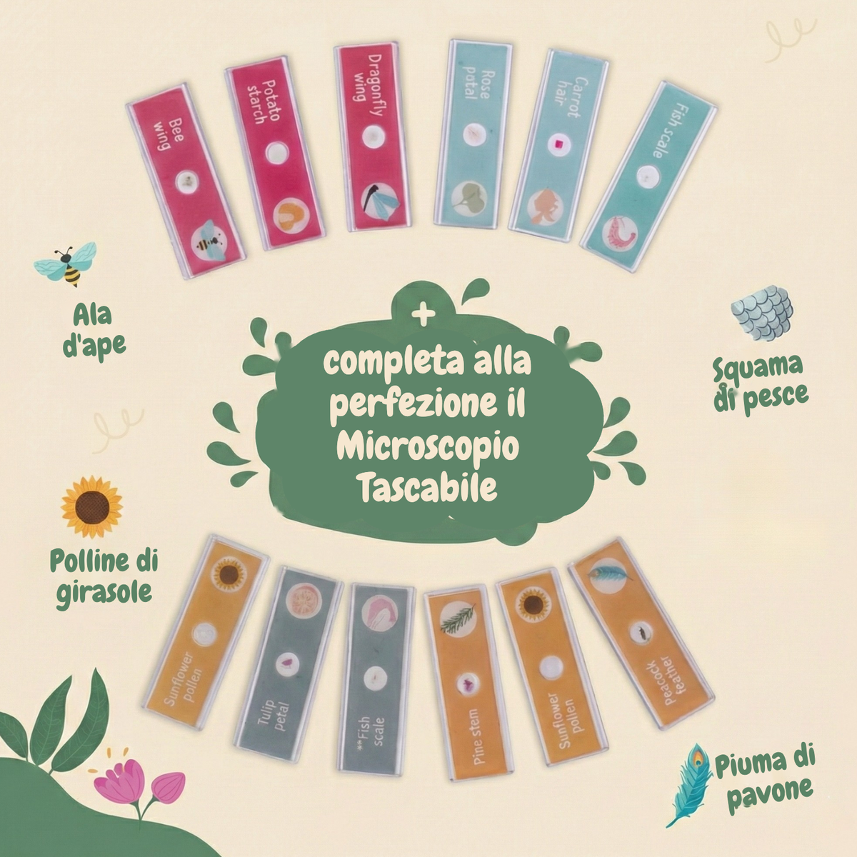 pocket-scope-slides (IT) 2